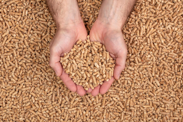 Detail,Of,Hands,Showing,Wood,Pellets.,Biomass,And,Alternative,Fuel