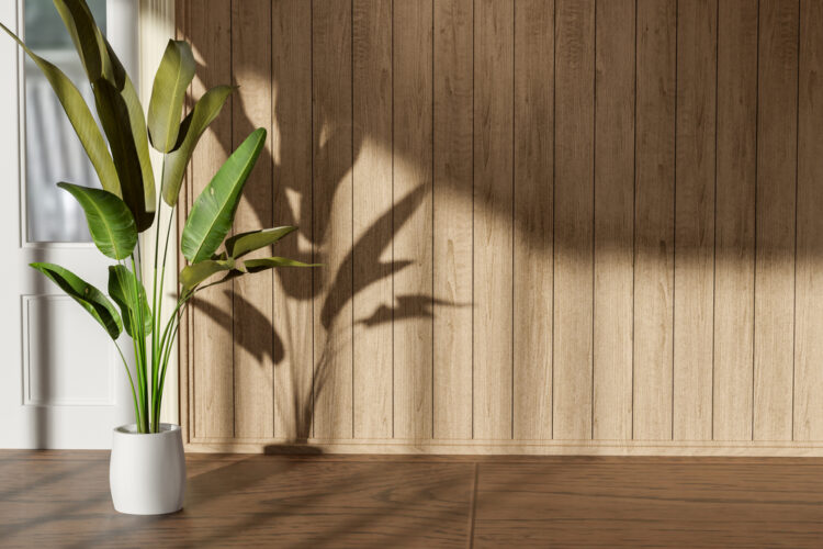 Plants,Decoration,With,Shadow,On,Empty,Room,Interior,With,Wooden